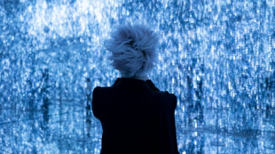 A l'ère du tout-numérique, un "musée immersif et sensoriel" ouvre à New York