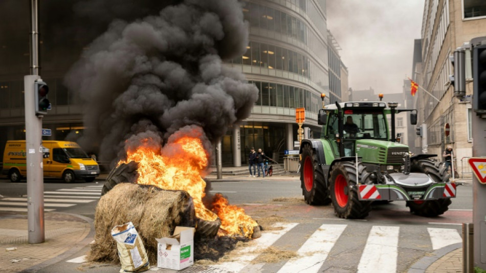 Ukraine: Zähe Verhandlungen über Beschränkungen für zollfreie Agrarimporte