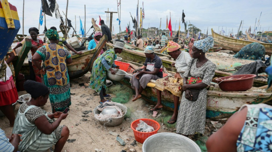 Au Ghana, un homme se mobilise pour sauver les raies-guitares de l'extinction
 