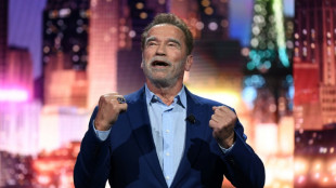 El reloj que le trajo quebraderos de cabeza a Schwarzenegger tiene un "final feliz"