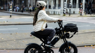 Bike-loving Dutch weigh ban on fat bikes from cycle lanes