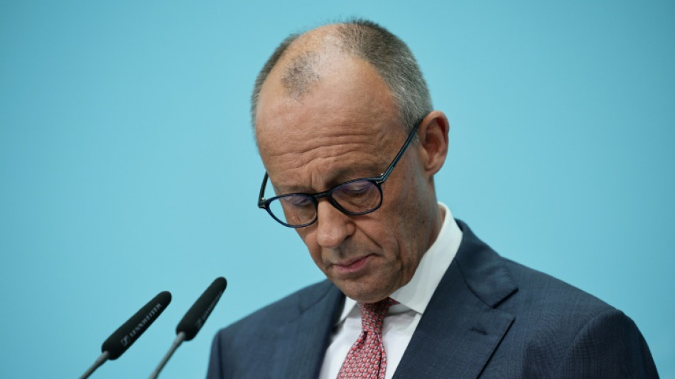  Merz k&uuml;ndigt baldiges Bundesgesetz gegen Enteignungen an - Kritik an Linken 
