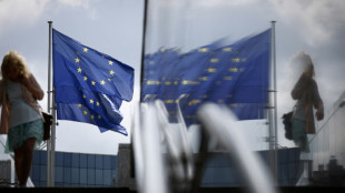 UE: apr&egrave;s le cavalier seul d'Orban, la Pologne prend la main
