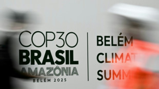 Klimagipfel in Bel&eacute;m beginnt mit etwa 50 Staatenlenkern und neuem Waldschutz-Fonds