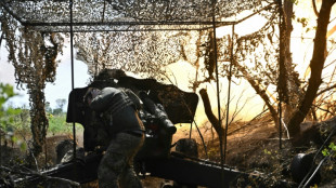 Ukraine says punctured Russian defence lines near Bakhmut