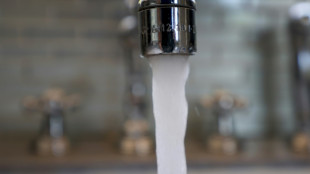 Micropolluants dans l'eau: jusqu'à un milliard d'euros à investir pour l'agglomération parisienne