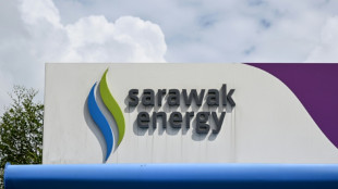 Malaysia's largest island state aims to be region's 'green battery' 