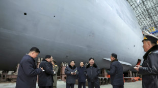 North Korea's Kim inspects 'nuclear-powered submarine' project