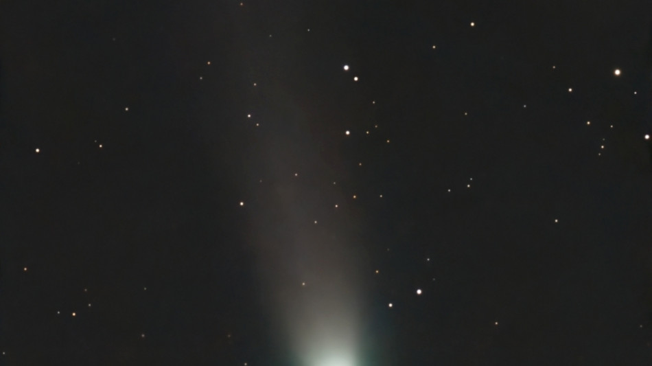 Telescopio genovese cattura un'immagine della cometa Lemmon