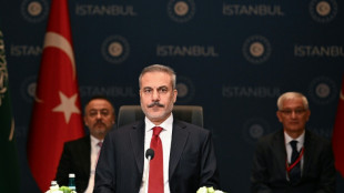 T&uuml;rkei: Muslimische Staaten pochen auf pal&auml;stinensische Selbstverwaltung im Gazastreifen