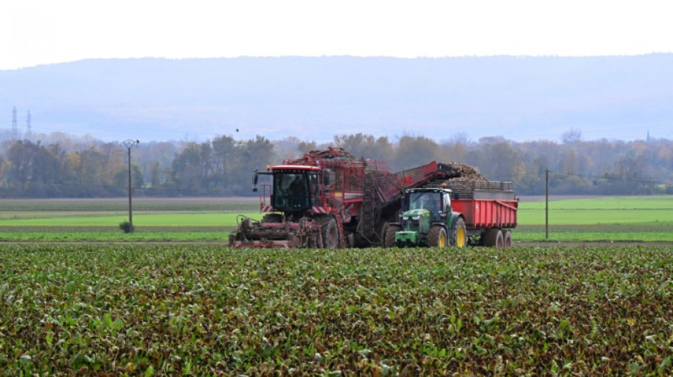 EU parliament backs Russian fertiliser tax opposed by farmers