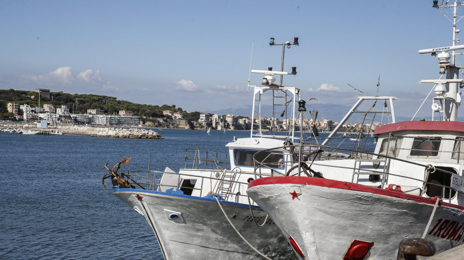  Lollobrigida, con Cambiale Azzurra 10 milioni per liquidit&agrave; delle imprese della pesca 