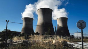 Sûreté nucléaire: l'Assemblée repousse une motion de rejet au projet controversé de fusion ASN-IRSN