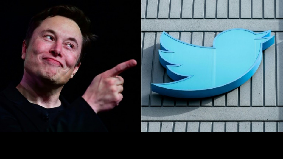Musk will Algorithmen für Twitter-Empfehlungen offenlegen