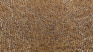 Zoll entdeckt in D&uuml;sseldorf illegale Zigarettenfabrik "industriellen Ausma&szlig;es"