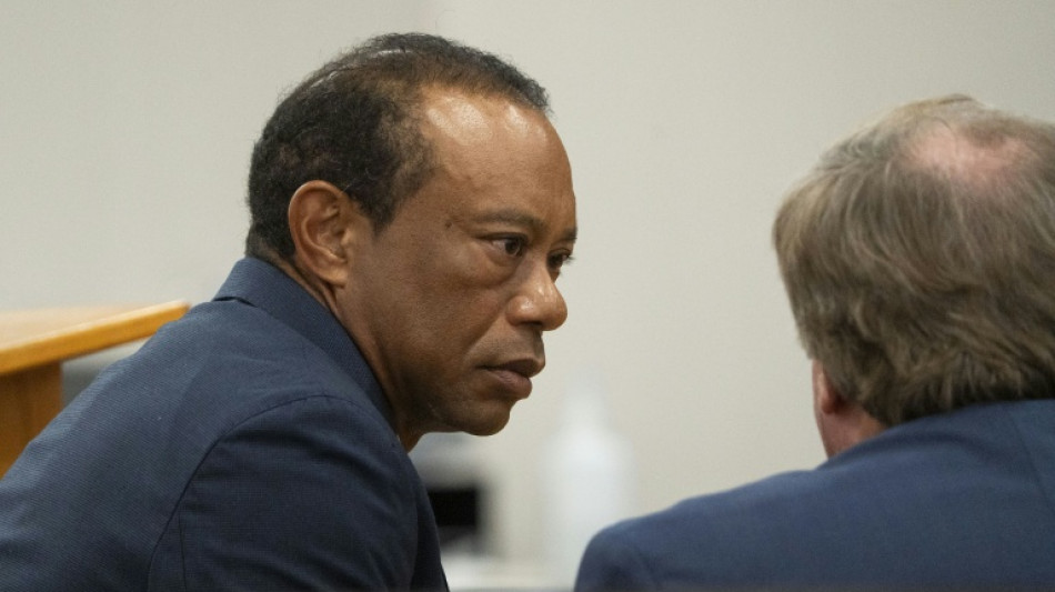  Tiger Woods se declara culpable de conducci&oacute;n temeraria por un accidente de coche en EEUU 