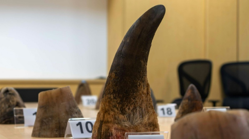 Singapore seizes record rhino horn haul
