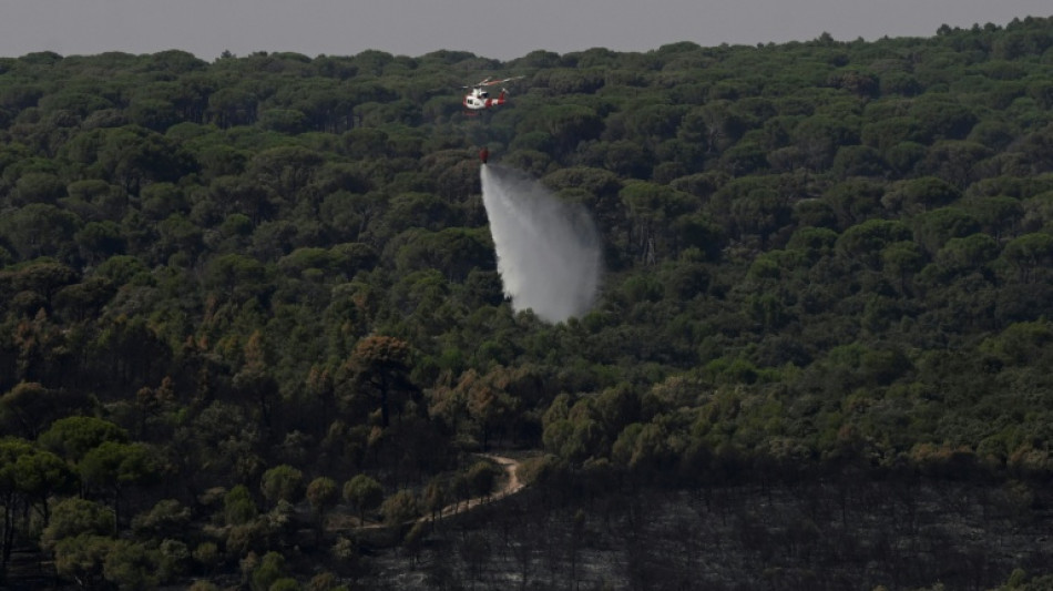  Incendies en Espagne : avec une "situation favorable", des dizaines de milliers d'&eacute;vacu&eacute;s rentrent chez eux 