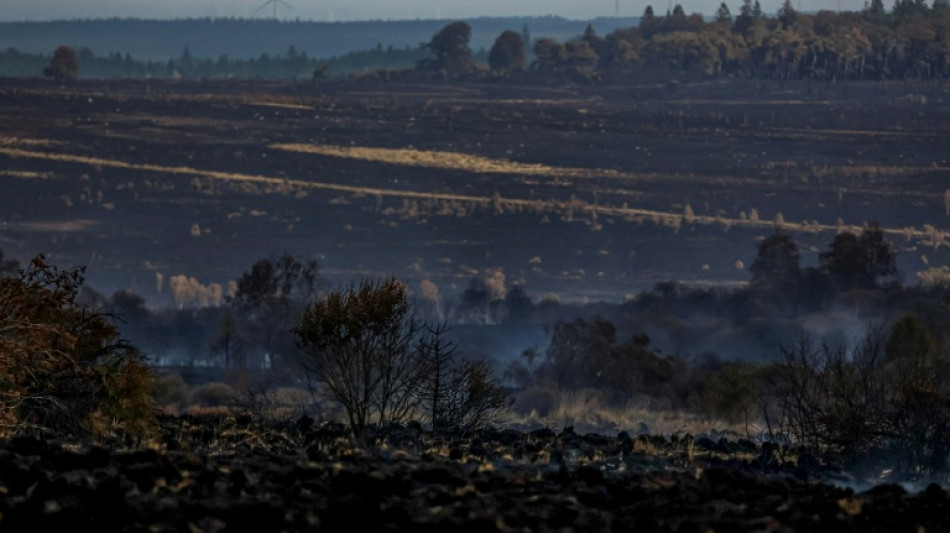  Waldbrand in Belgien laut Beh&ouml;rden "vollumf&auml;nglich unter Kontrolle" 