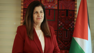 Reconhecimento da Palestina enviará 'mensagem muito clara' a Israel, diz diplomacia palestina