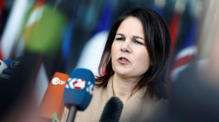 Baerbock: Wer Klimaschutz vernachl&auml;ssigt, der kann nicht rechnen