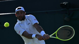 Wimbledon: Berrettini perde al quinto con Majchrzak