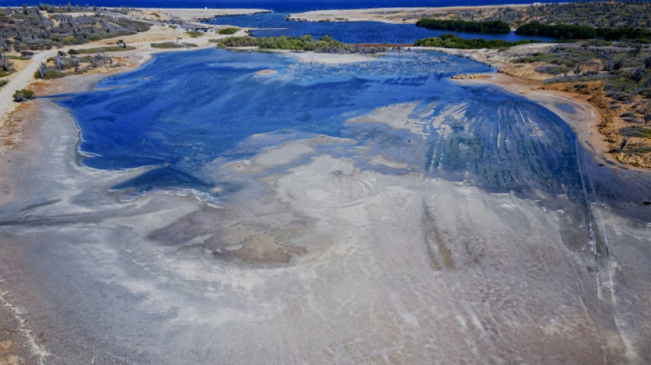 Climat: jugement "historique" aux Pays-Bas, ordonn&eacute;s de mieux prot&eacute;ger une &icirc;le