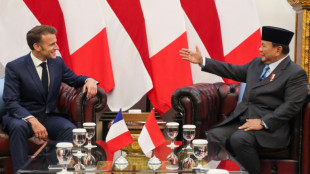 Macron in Indonesia to deepen trade, defence ties