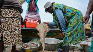 In Ghana, one man's race to save critically endangered fish