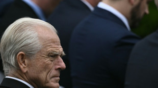 Musk beschimpft Trumps Berater in Handelsfragen als "Idioten"