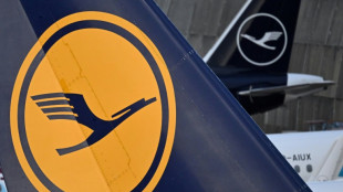 Weitere Lufthansa-Streiks abgewendet - Linke macht Airline für bisherige verantwortlich