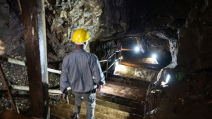 En Afrique du Sud, fouler les grottes du "berceau de l'humanité"