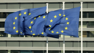 Ue, al lavoro con Usa per finalizzare la dichiarazione sui dazi