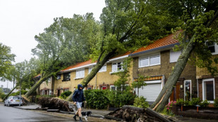 Zwei Tote in Niedersachsen und Niederlanden durch Sturmtief "Poly"