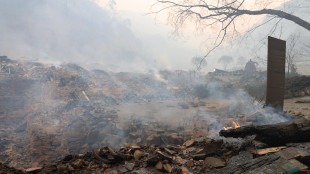 Incendi boschivi in Corea del Sud, morti salgono a quota 24