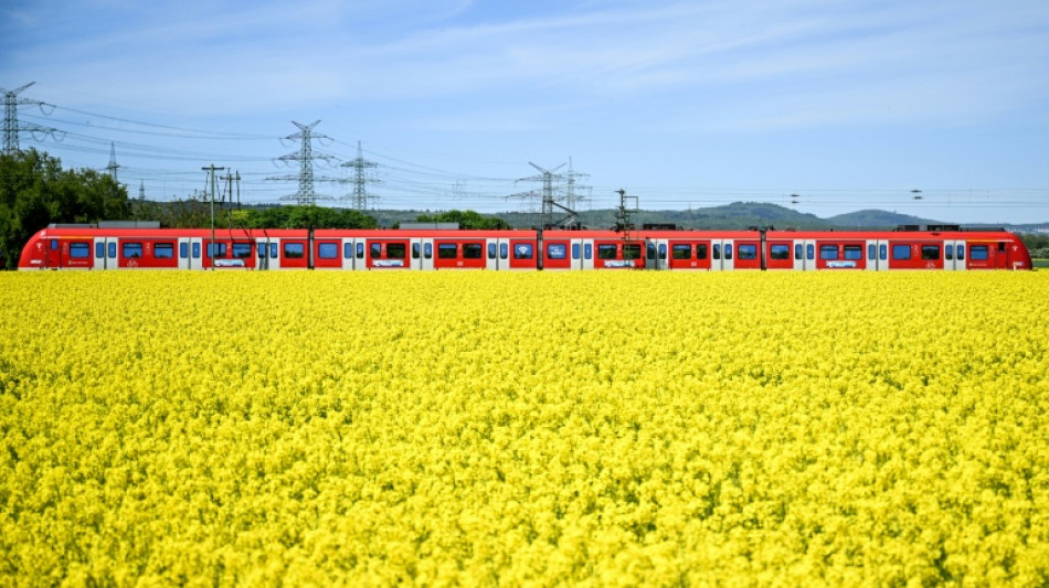  Bahn-Infrastruktur in Deutschland 2025 kaum verbessert - DB-Spitze optimistisch 