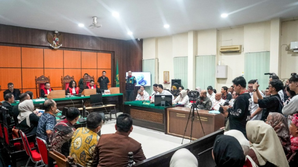  Indonesian court hears 'negligence' complaint against state over fires, haze  