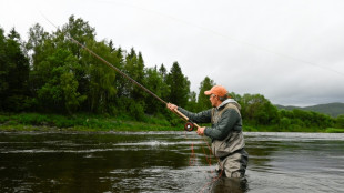 El salmón salvaje de Noruega sufre una lenta agonía por la acuicultura