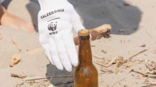 Calzedonia e Wwf insieme per spiagge e coste pi&ugrave; pulite