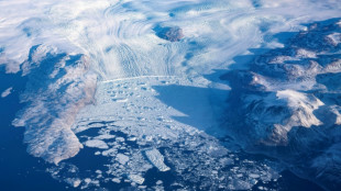 Derretimento de plataformas de gelo da Groenlândia representa risco 'dramático' (estudo)