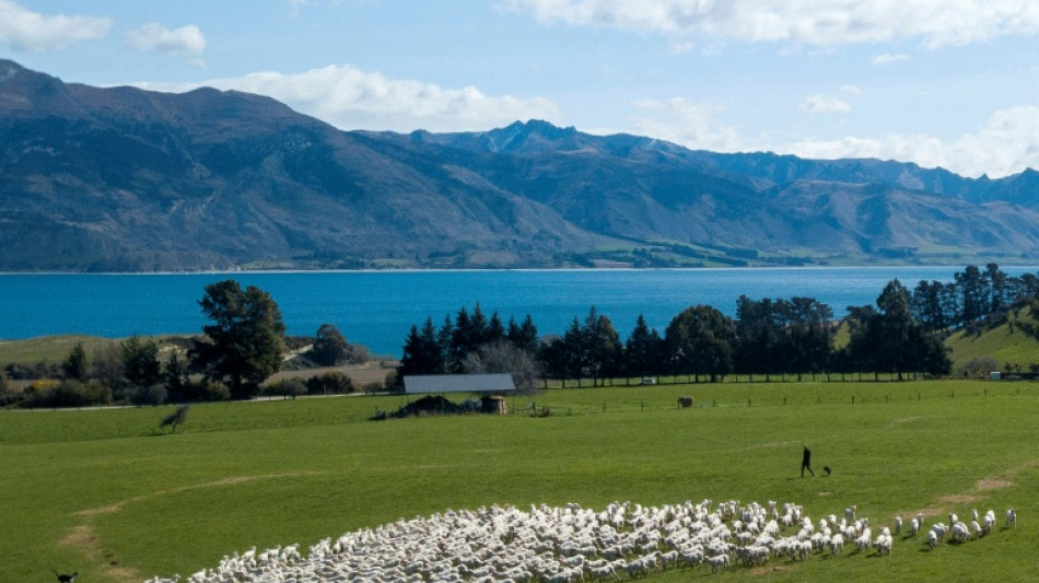  Court case challenges New Zealand's 'magical thinking' climate plans 