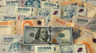 Milei promulga lei para que argentinos regularizem economias em d&oacute;lares