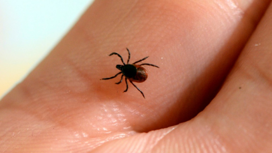  Mixed results for Lyme disease vaccine hit Valneva shares 