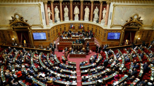 Chlordécone aux Antilles: au Sénat, des débats sur l'indemnisation des victimes terminent dans l'indignation