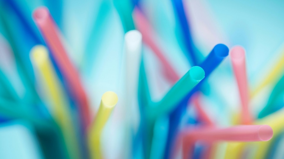 Un Fran&ccedil;ais risque la prison &agrave; Singapour pour avoir l&eacute;ch&eacute; une paille