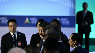 Xi: China muss Rechte und geistiges Eigentum ausländischer Unternehmen schützen