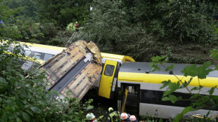Erdrutsch wohl Ursache des Zugunglücks in Baden-Württemberg 