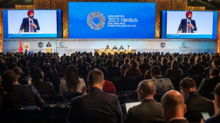 Africa hears pledges but little action at IMF-World Bank talks