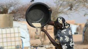 Weltbank: Kluft zwischen reichen und armen Ländern wächst