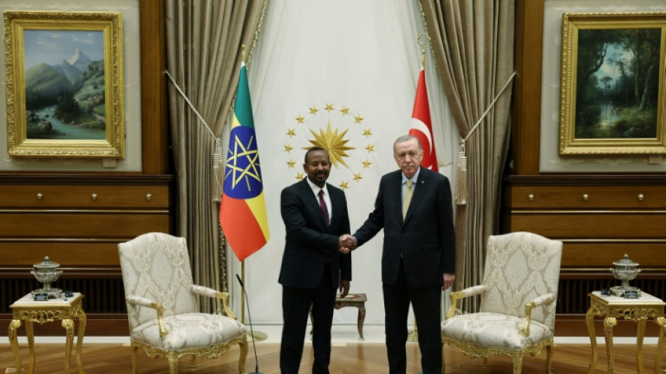 &Auml;thiopien und Somalia einigen sich auf Abkommen zur Beendigung von Territorialstreit